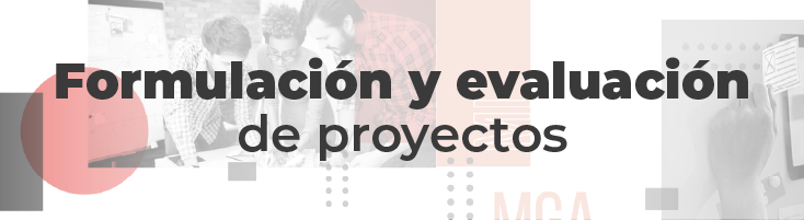 (P) Formulación y evaluación de proyectos