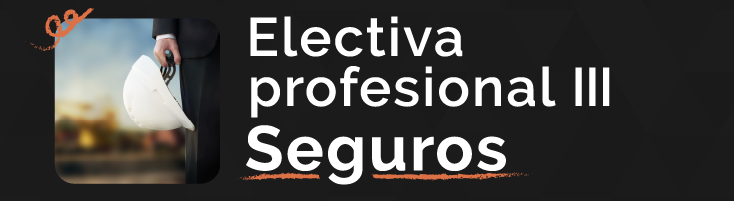 (P) ELECTIVA PROFESION III-SEGUROS