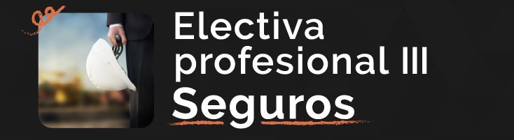 (2023-2R) ELECTIVA PROFESION III-SEGUROS